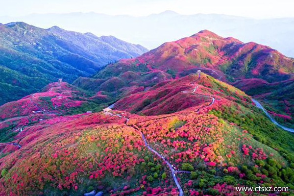 西藏什么时候去西藏旅游好