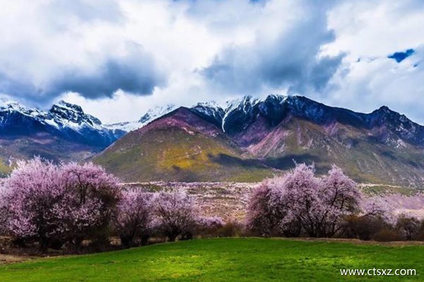 现在适合去西藏旅游吗